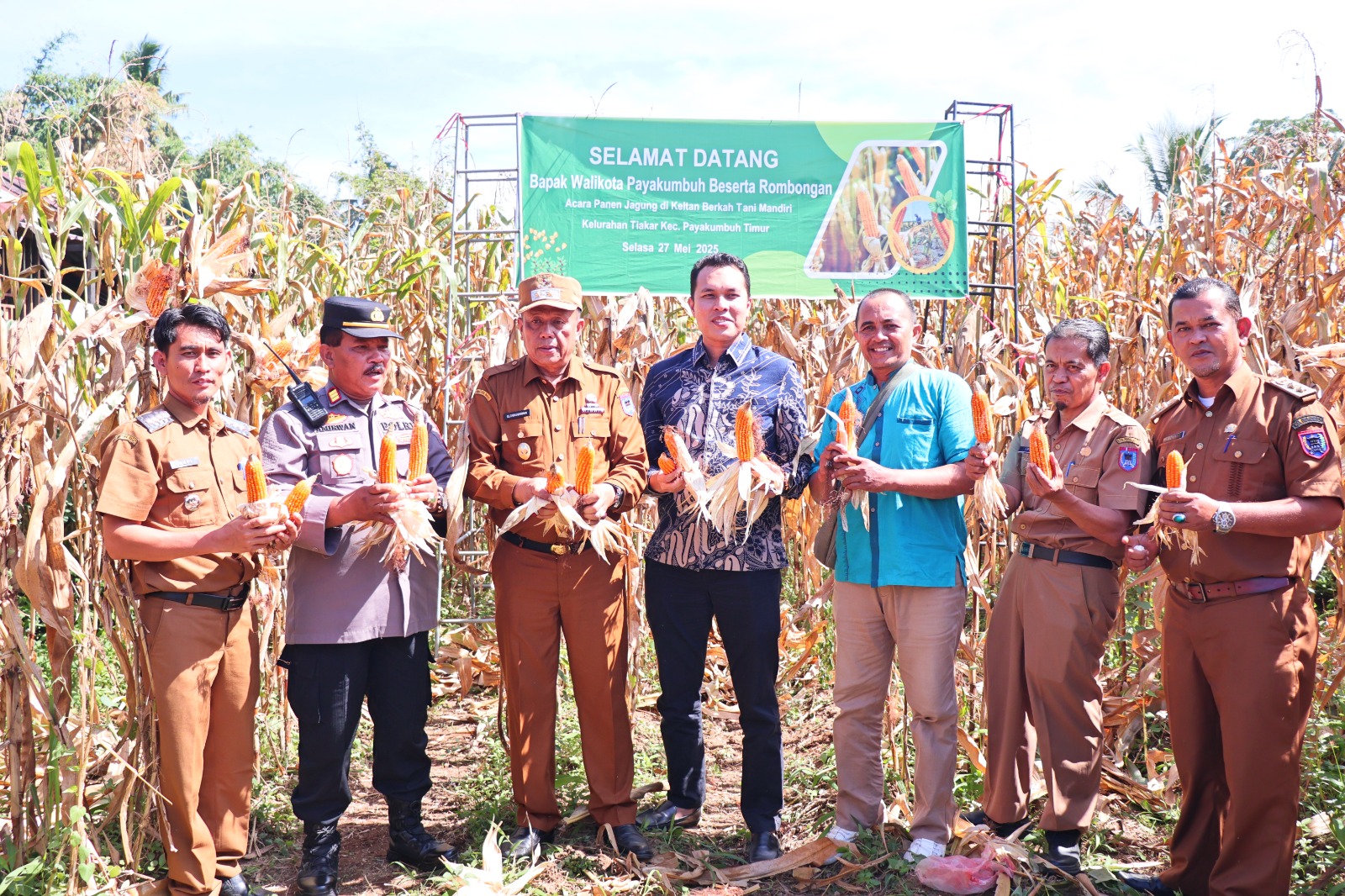 Manfaatkan Lahan Tidur, Pemko Payakumbuh Dorong Swasembada Pangan Lewat Panen Jagung