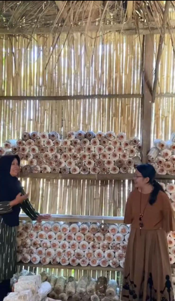 Inovasi Pangan Lokal: Dosen PPNP Sulap Jamur Tiram Jadi ‘Daging Burger’ Alternatif