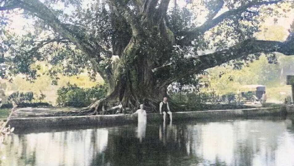 Nostalgia Pemandian Batang Tabik