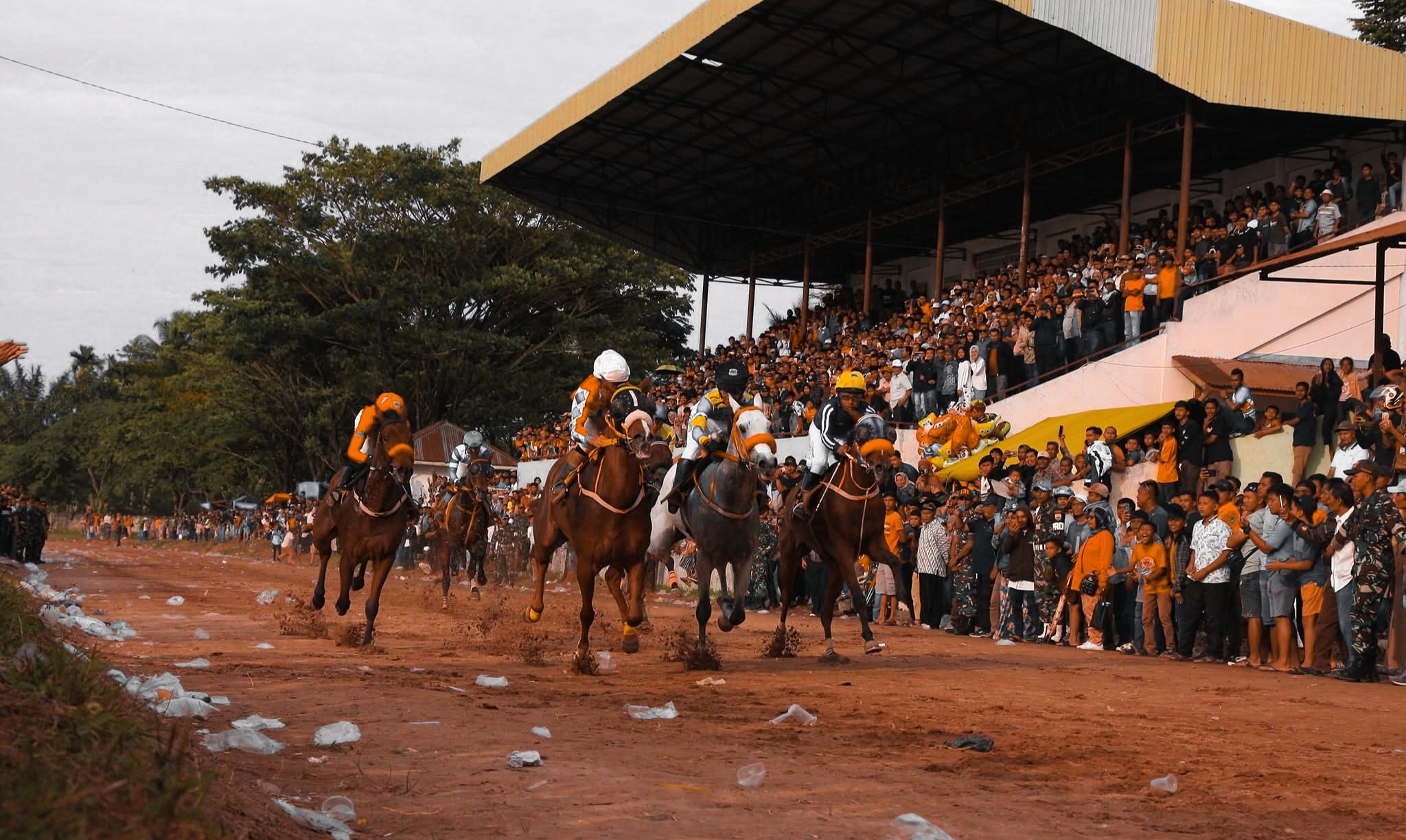 Alek Pacu Kuda Payakumbuh, Riwayat Arena, Tradisi, dan Politik dari Masa ke Masa (Dok. Aguspen Adnan)
